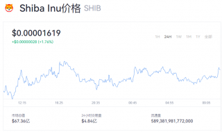 SHIB实时价格动态分享 SHIB今日行情如何？